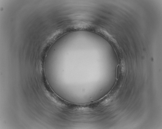 X0000073920637200609011810