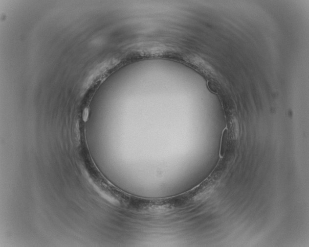 X0000073920638200609011810