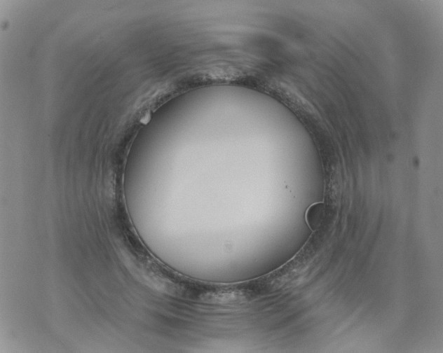 X0000073920639200609011810