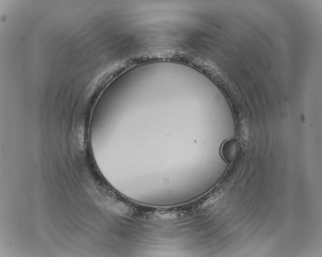 X0000073920640200609011810