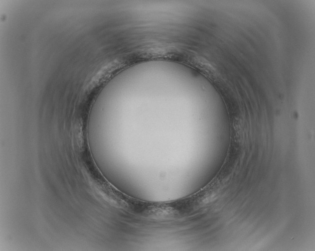 X0000073920642200609011810