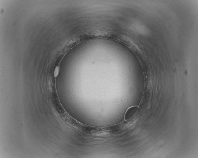 X0000073920643200609011810