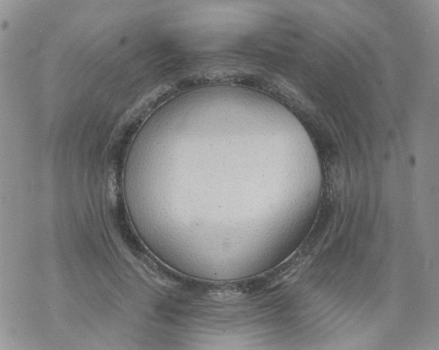 X0000073920644200609011810