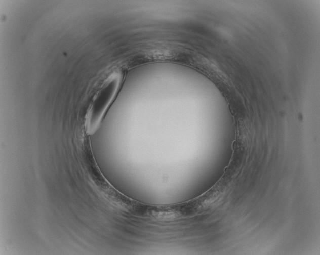 X0000073920645200609011810