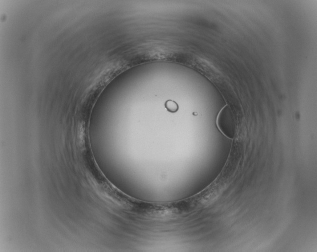 X0000073920646200609011810