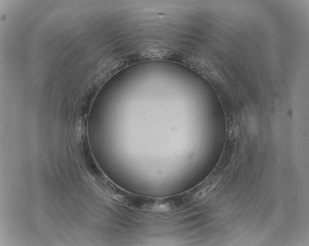 X0000073920647200609011810