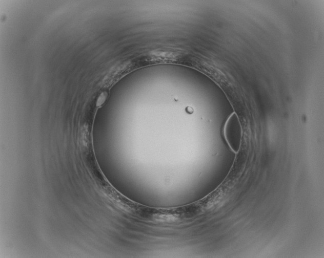 X0000073920649200609011810