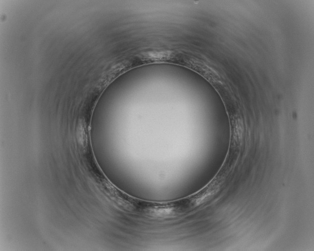 X0000073920651200609011810