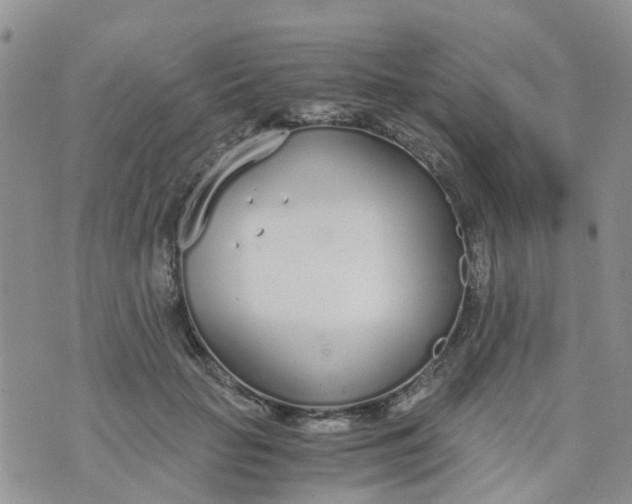 X0000073920653200609011810