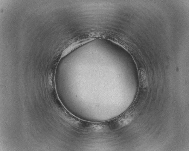 X0000073920654200609011810