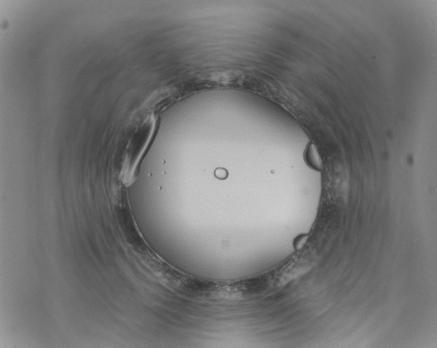 X0000073920656200609011810