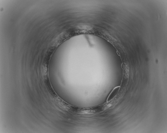 X0000073920657200609011810