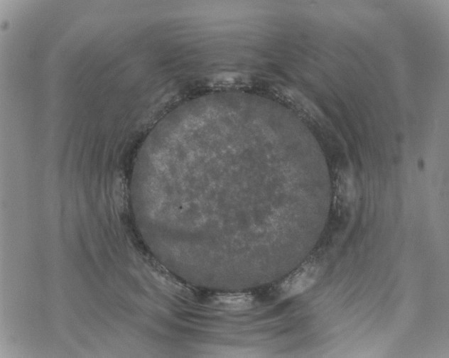 X0000073920659200609011810