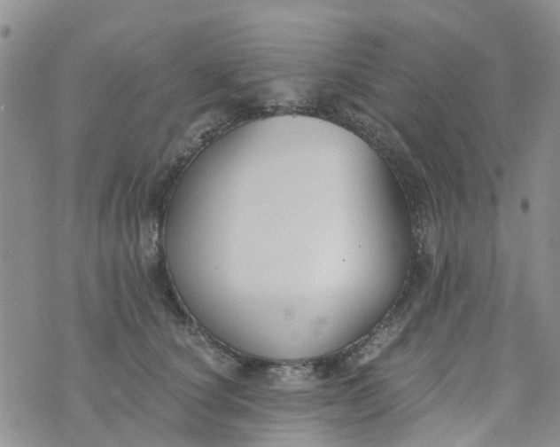 X0000073920660200609011810