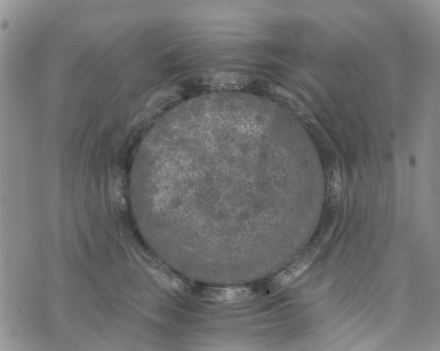 X0000073920663200609011810