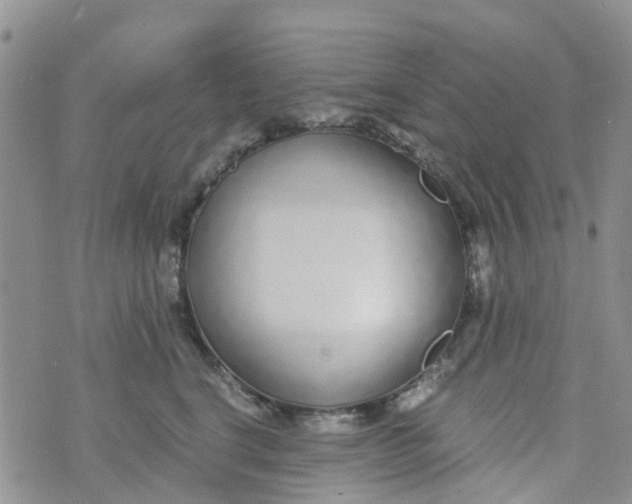 X0000073920664200609011810