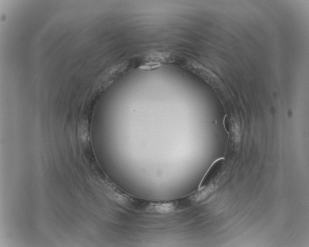 X0000073920665200609011810