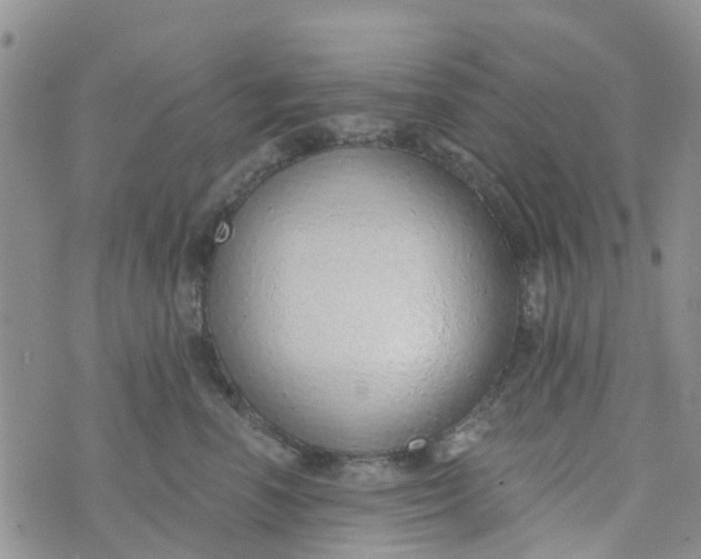 X0000073920666200609011810