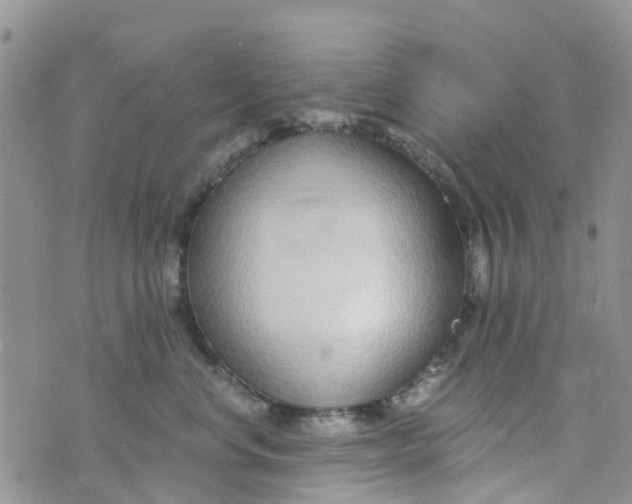 X0000073920668200609011810