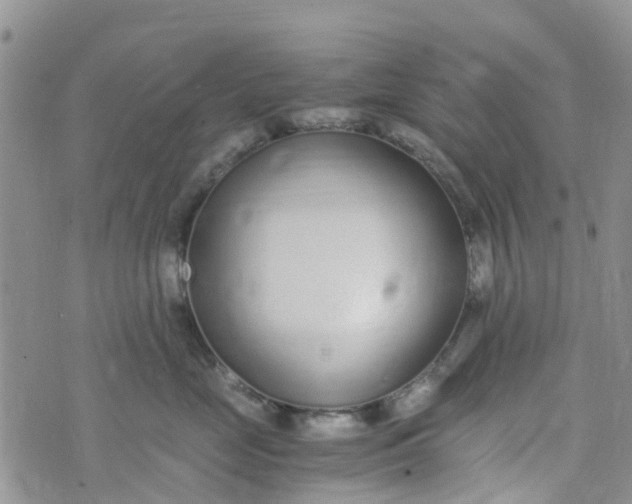 X0000073920669200609011810