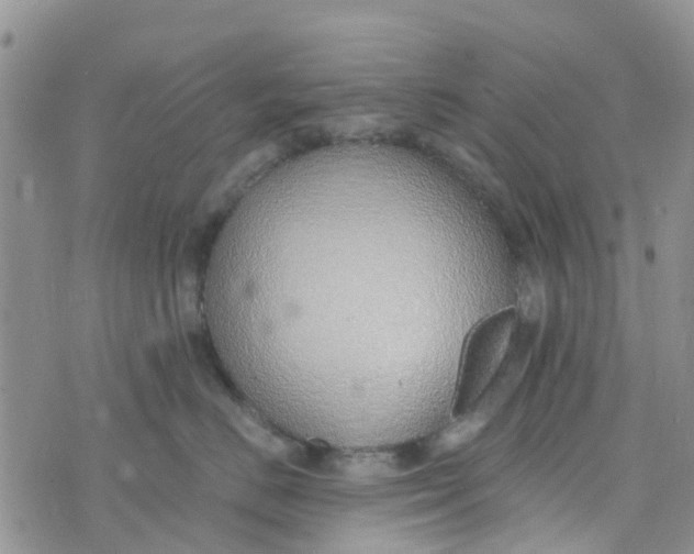 X0000073920670200609011810