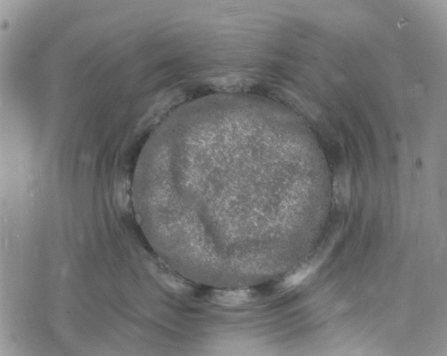 X0000073920671200609011810