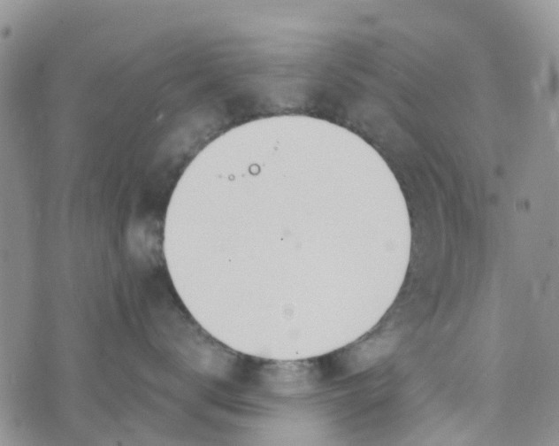 X0000073920672200609011810