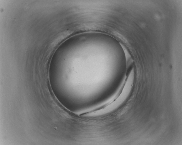 X0000073920673200609011810