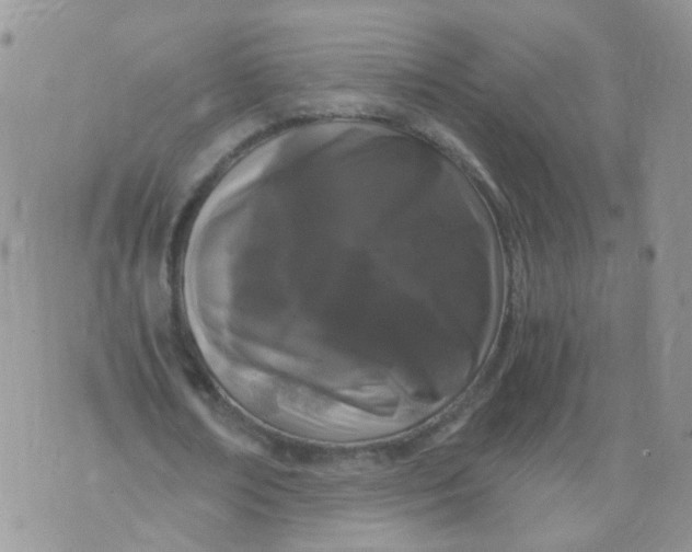 X0000073920674200609011810