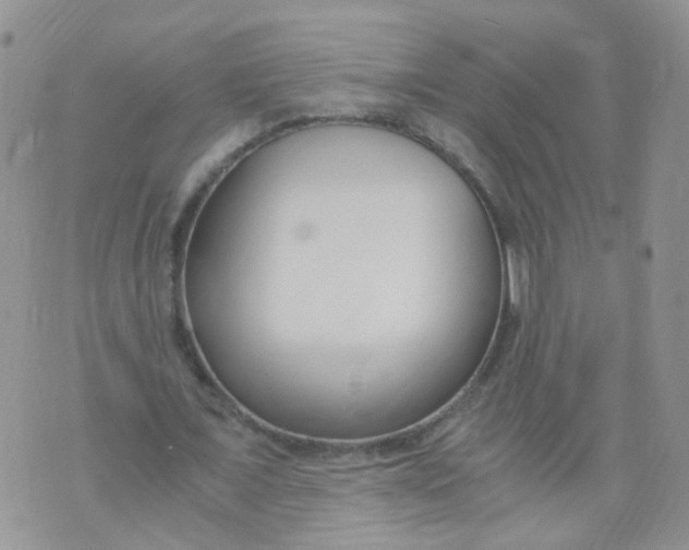 X0000073920675200609011810