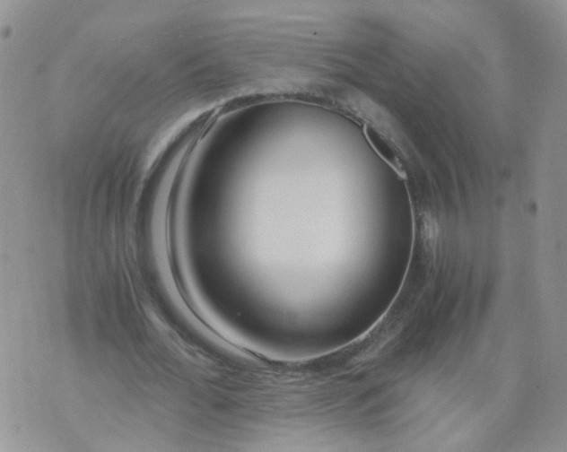 X0000073920676200609011810