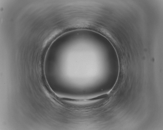 X0000073920677200609011810