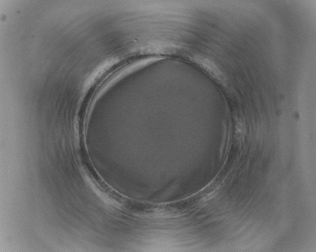 X0000073920678200609011810