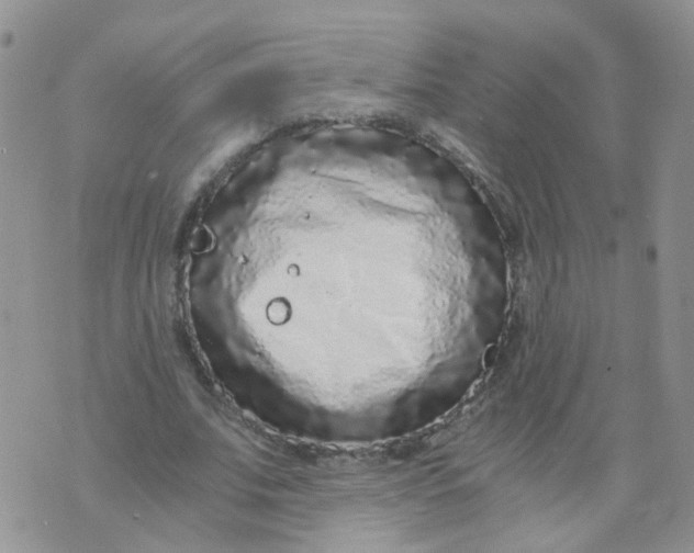 X0000073920679200609011810