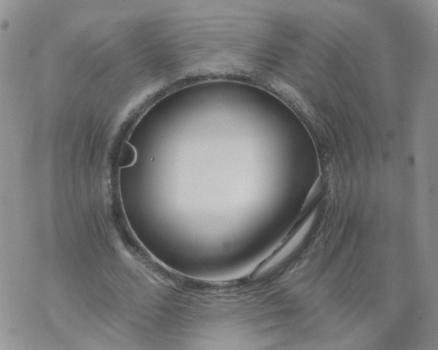 X0000073920680200609011810