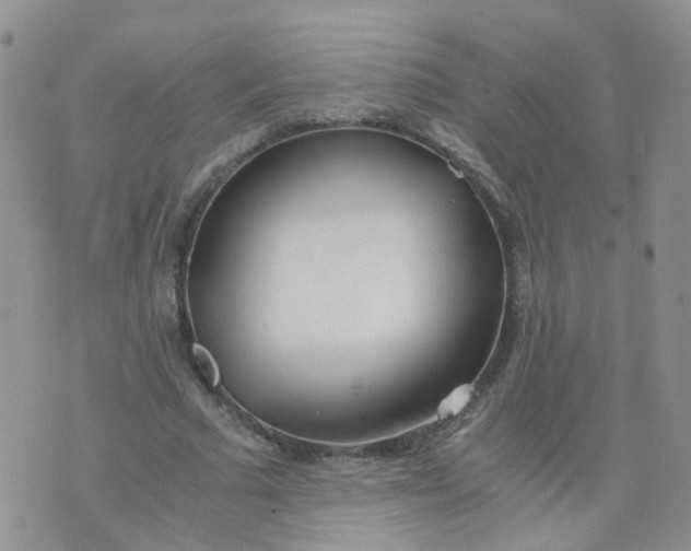 X0000073920681200609011810