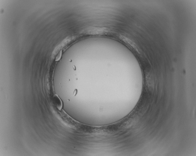 X0000073920682200609011810