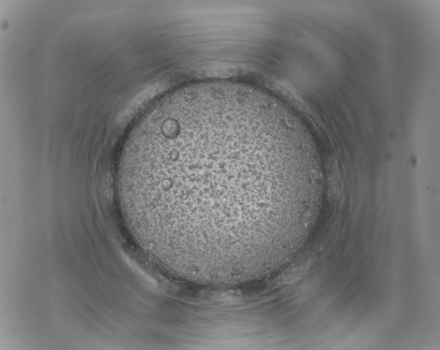 X0000073920683200609011810