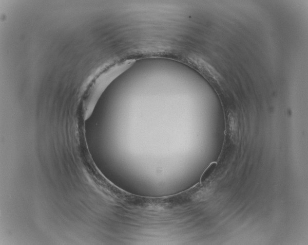 X0000073920684200609011810