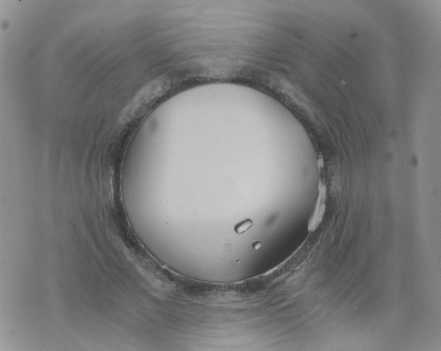 X0000073920685200609011809