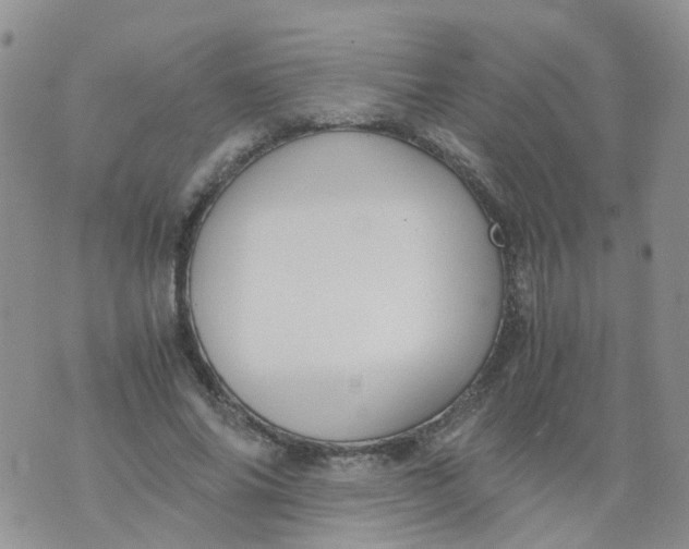 X0000073920686200609011809