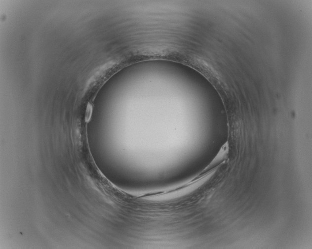 X0000073920688200609011809