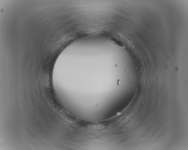 X0000073920689200609011809