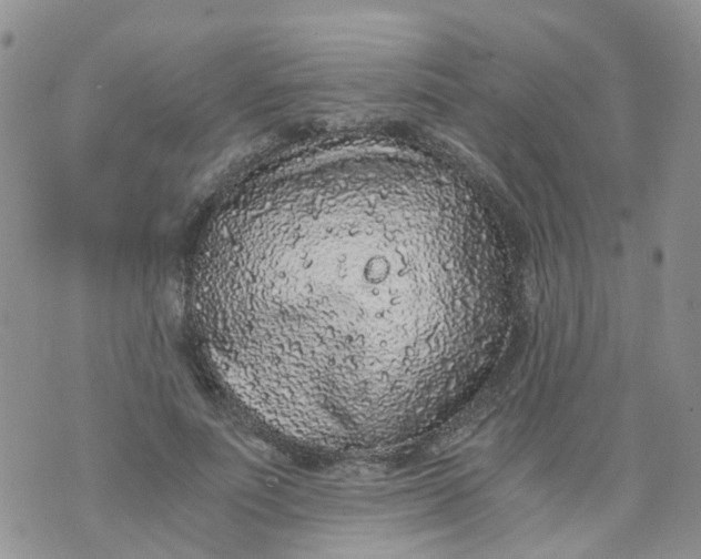 X0000073920691200609011809