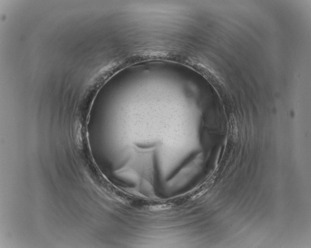 X0000073920692200609011809