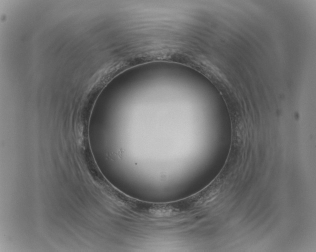 X0000073920693200609011809