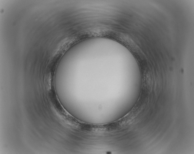 X0000073920694200609011809