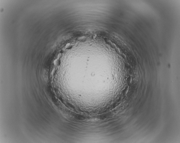 X0000073920695200609011809