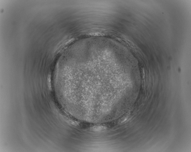 X0000073920696200609011809