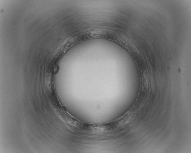 X0000073920698200609011809